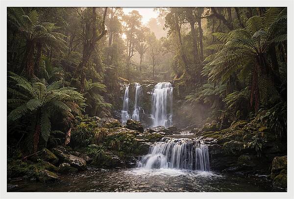 Cascading Waterfall In Jungle
