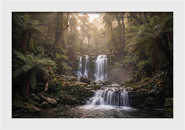 Cascading Waterfall In Jungle