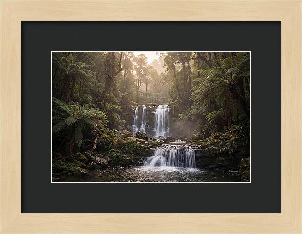 Cascading Waterfall In Jungle