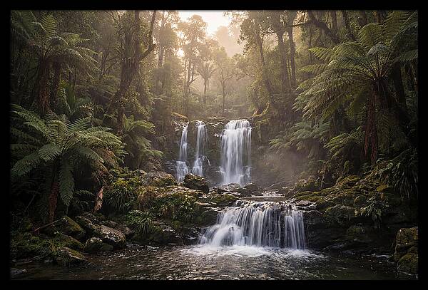 Cascading Waterfall In Jungle