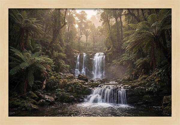 Cascading Waterfall In Jungle