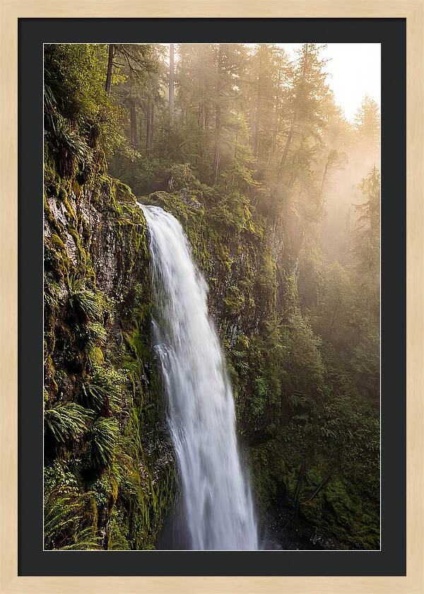 Cascading Waters Of Multnomah Falls