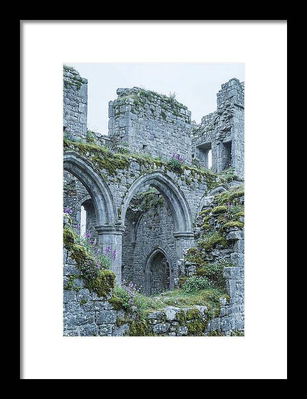 Castle Ruins Embraced By Nature