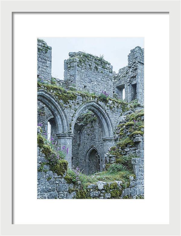 Castle Ruins Embraced By Nature