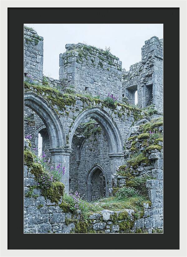 Castle Ruins Embraced By Nature
