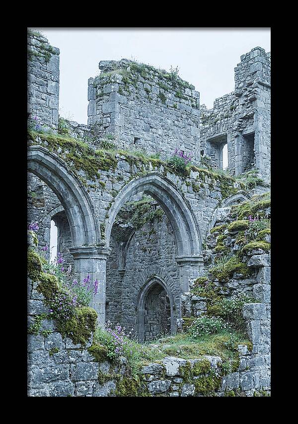 Castle Ruins Embraced By Nature
