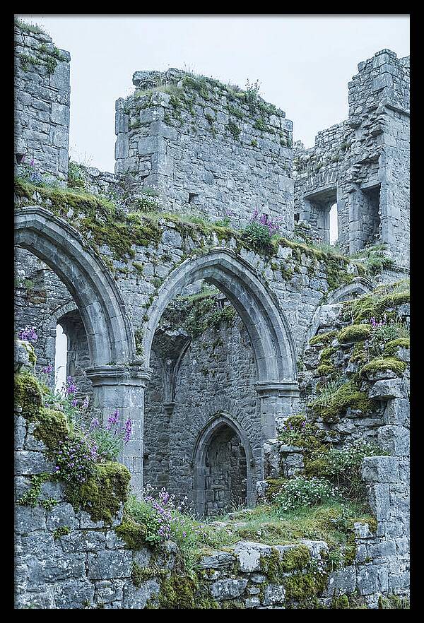 Castle Ruins Embraced By Nature