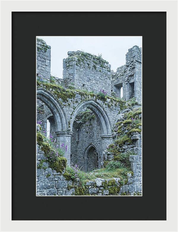 Castle Ruins Embraced By Nature