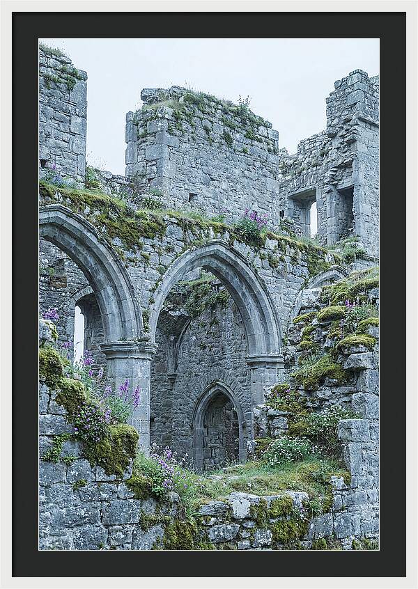 Castle Ruins Embraced By Nature