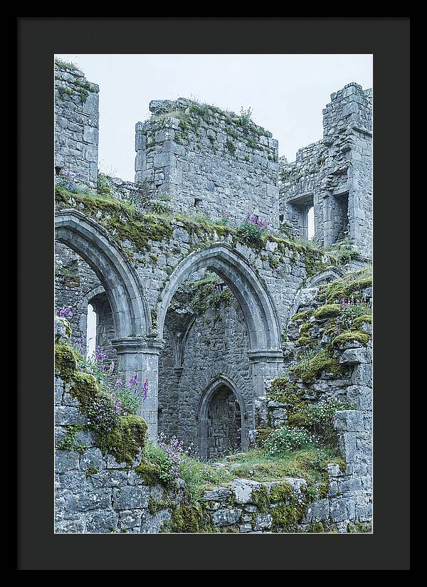 Castle Ruins Embraced By Nature