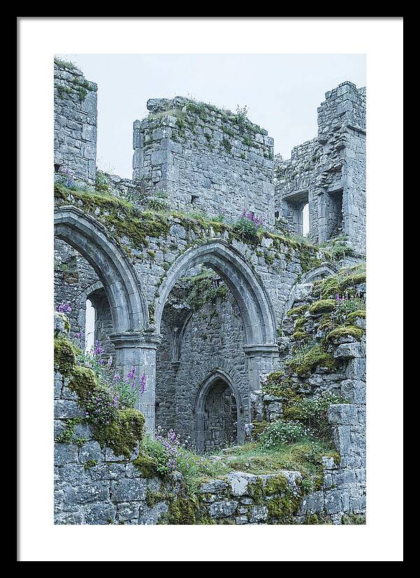 Castle Ruins Embraced By Nature