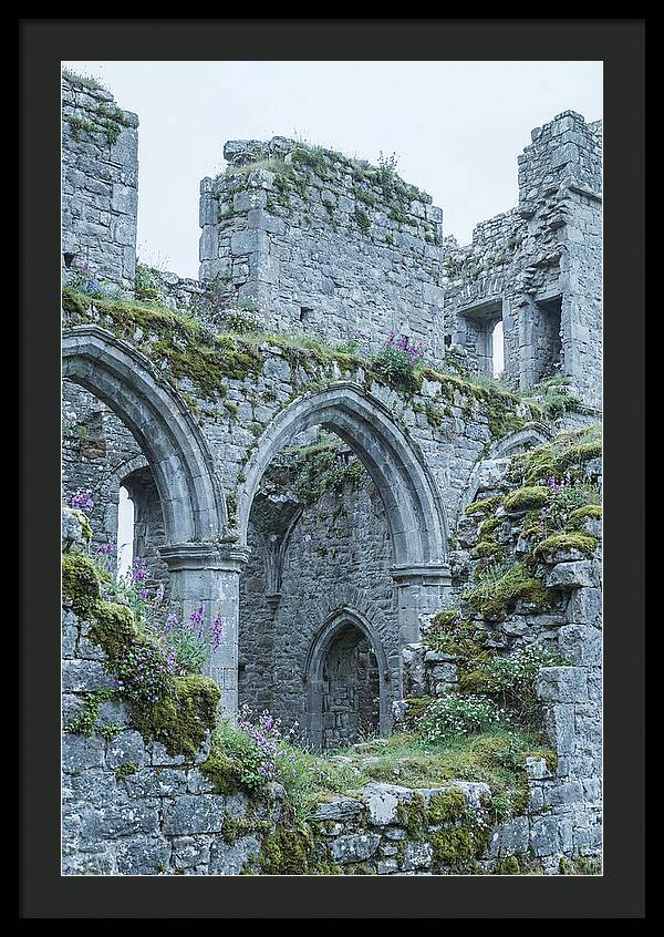 Castle Ruins Embraced By Nature