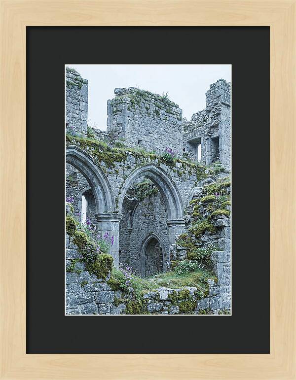 Castle Ruins Embraced By Nature