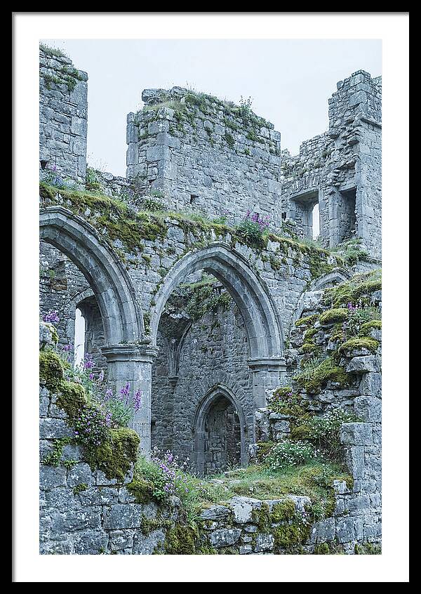 Castle Ruins Embraced By Nature