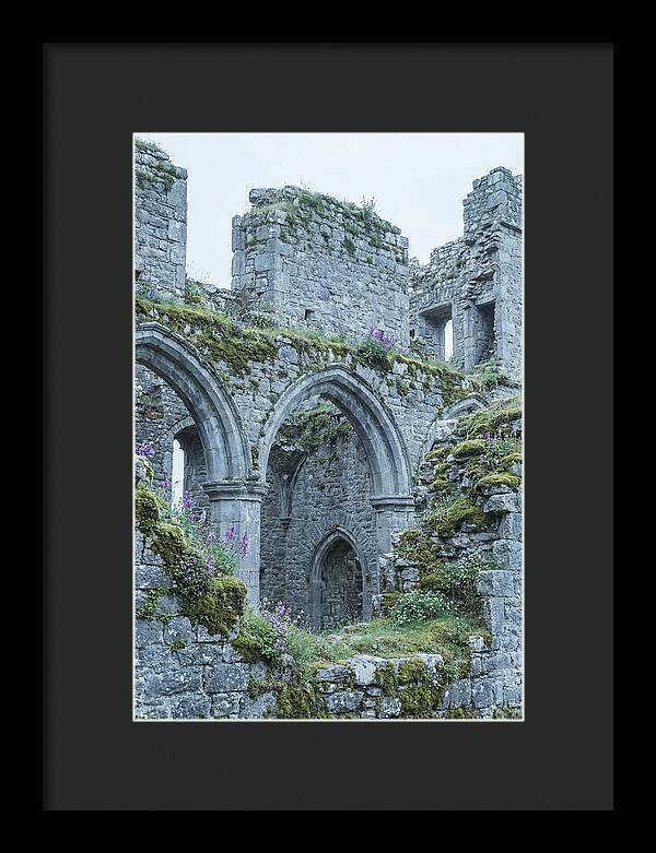 Castle Ruins Embraced By Nature