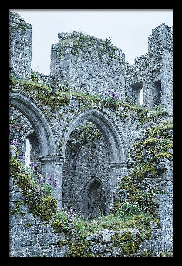 Castle Ruins Embraced By Nature