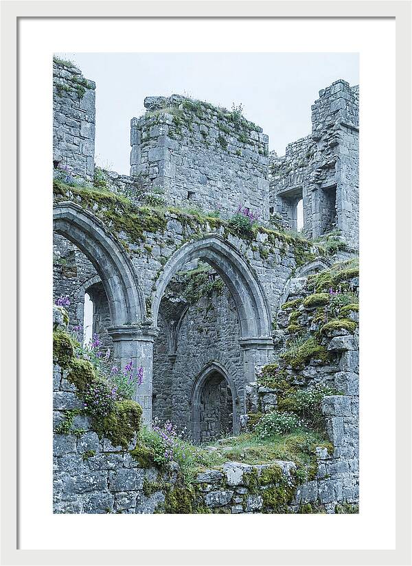 Castle Ruins Embraced By Nature