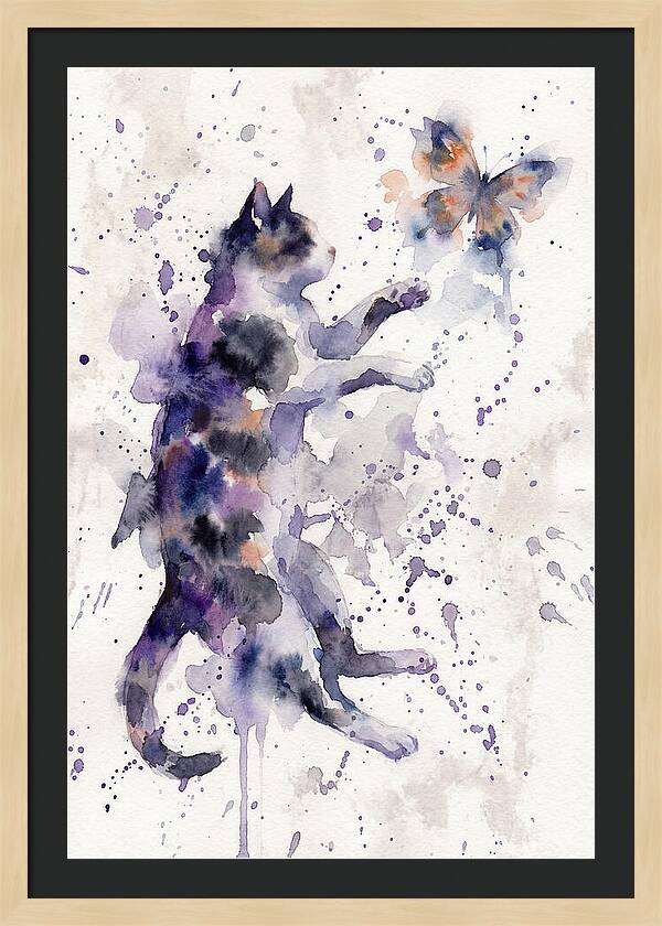 Cat Chasing A Butterfly