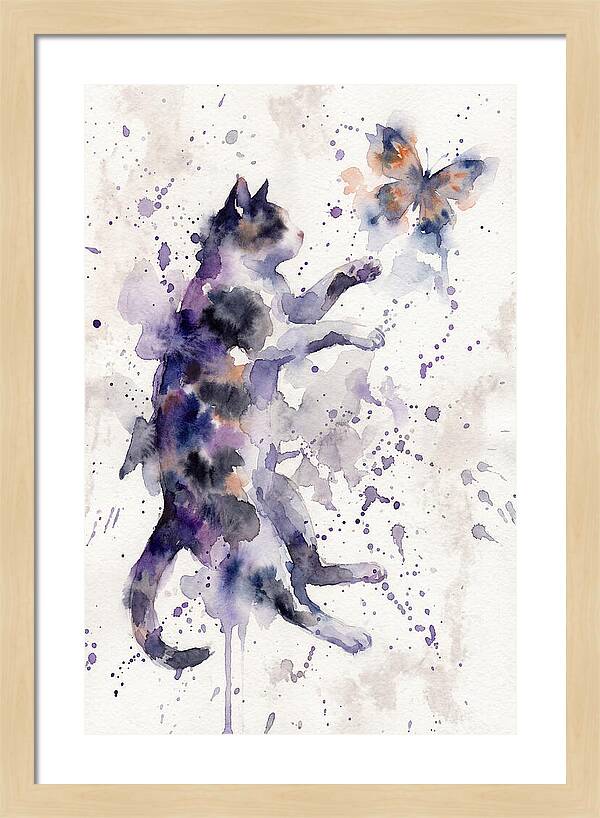 Cat Chasing A Butterfly