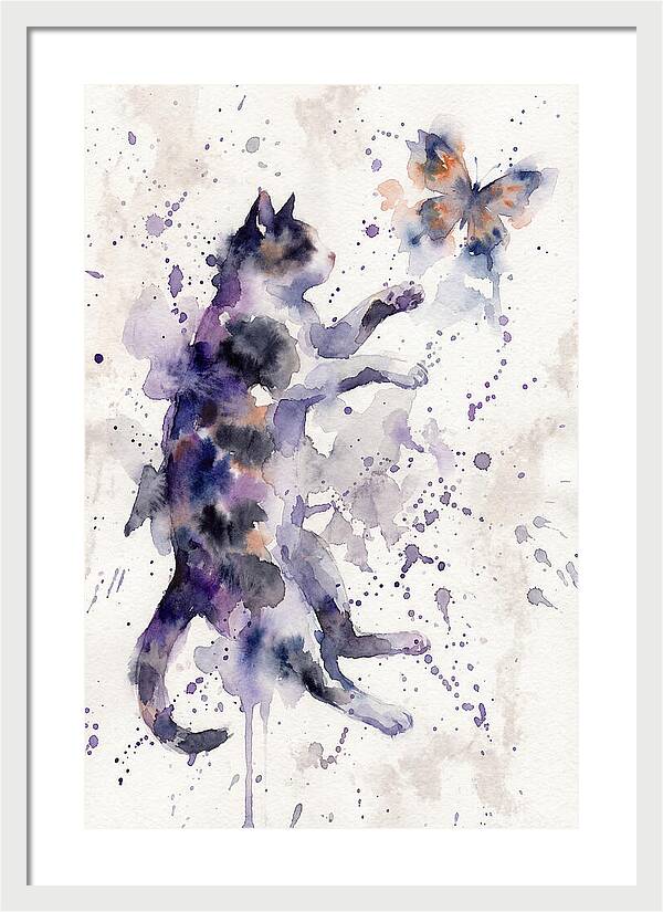 Cat Chasing A Butterfly