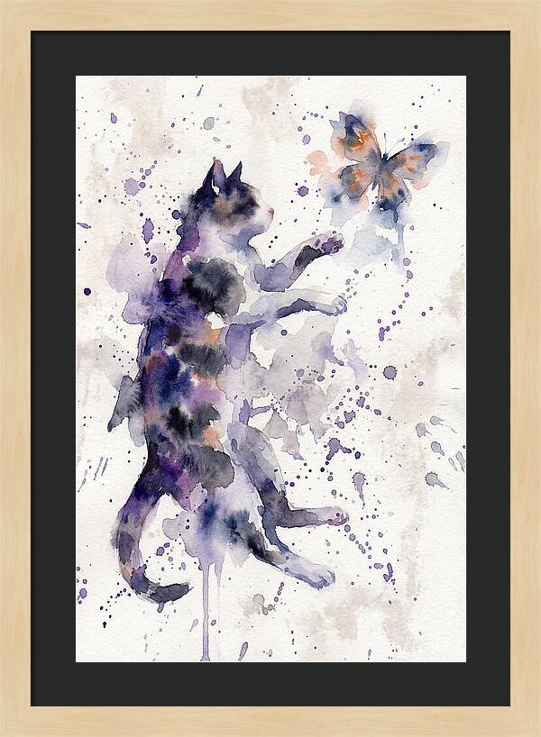 Cat Chasing A Butterfly
