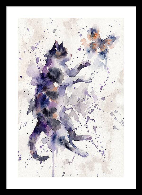 Cat Chasing A Butterfly