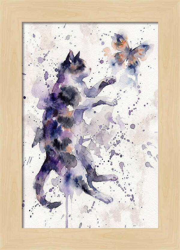 Cat Chasing A Butterfly