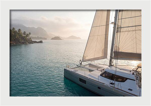 Catamaran Sailing In Tropical Paradise