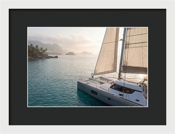 Catamaran Sailing In Tropical Paradise