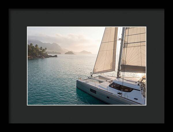 Catamaran Sailing In Tropical Paradise