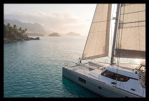 Catamaran Sailing In Tropical Paradise