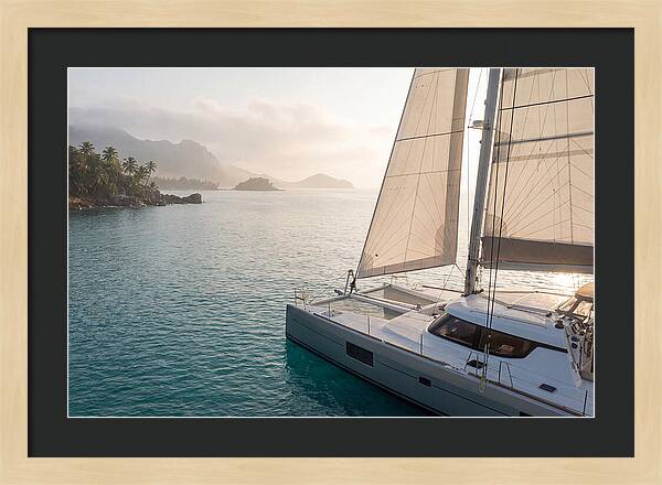 Catamaran Sailing In Tropical Paradise