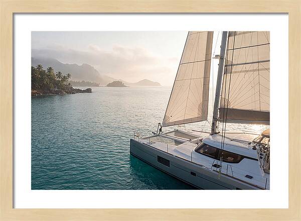 Catamaran Sailing In Tropical Paradise