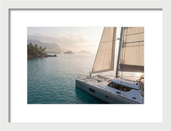 Catamaran Sailing In Tropical Paradise