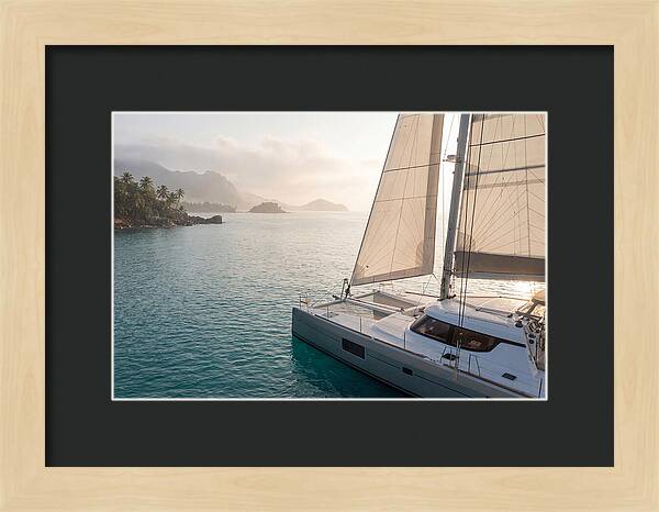 Catamaran Sailing In Tropical Paradise