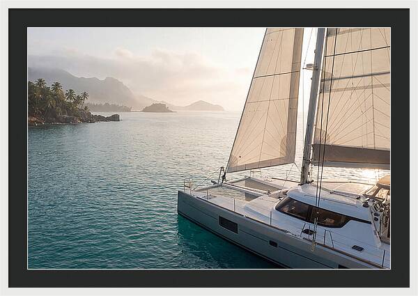 Catamaran Sailing In Tropical Paradise