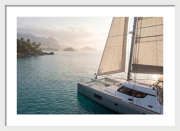 Catamaran Sailing In Tropical Paradise