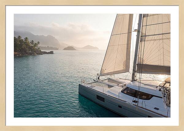 Catamaran Sailing In Tropical Paradise