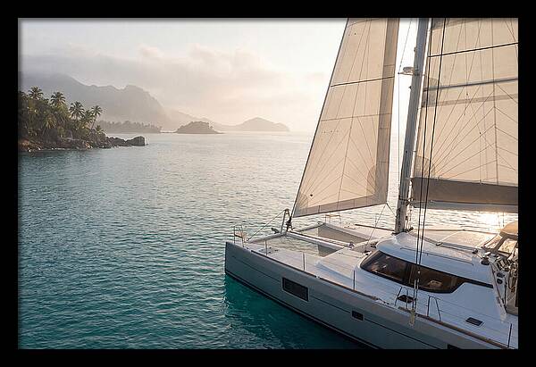Catamaran Sailing In Tropical Paradise
