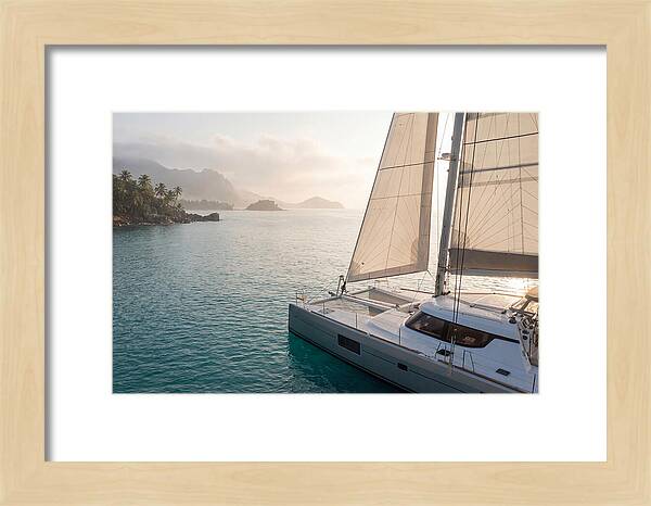Catamaran Sailing In Tropical Paradise