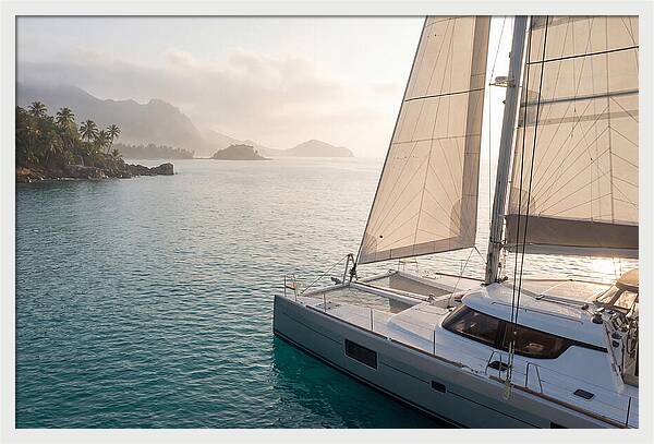 Catamaran Sailing In Tropical Paradise
