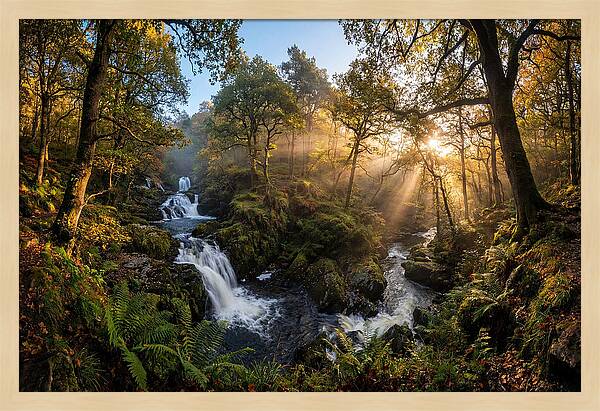 Cataract Falls Serenity