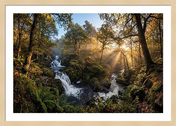 Cataract Falls Serenity