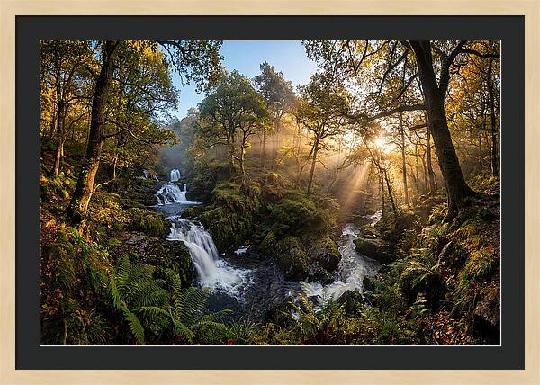 Cataract Falls Serenity