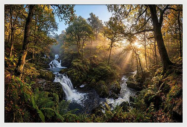 Cataract Falls Serenity