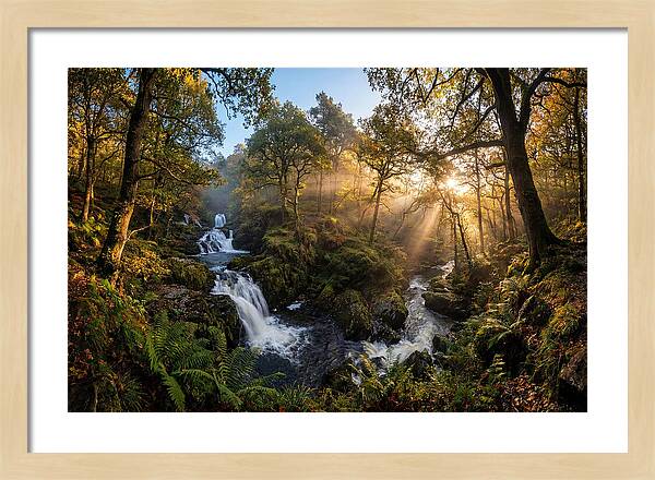 Cataract Falls Serenity