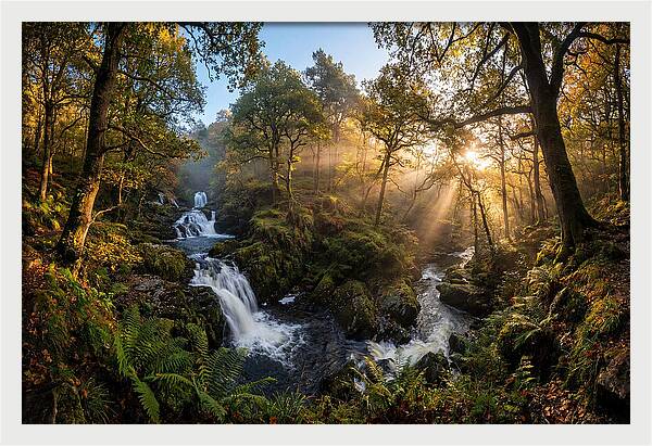 Cataract Falls Serenity