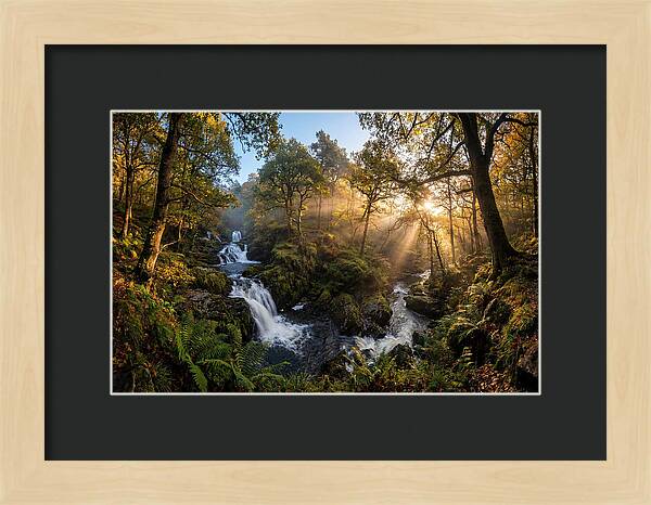 Cataract Falls Serenity