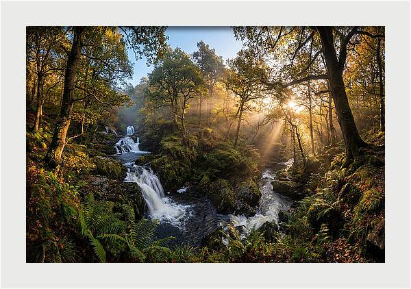 Cataract Falls Serenity