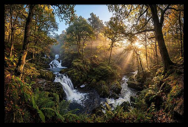 Cataract Falls Serenity